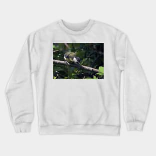 LE PANASONIC FZ 200 PAR OKAIO CRÉATION Crewneck Sweatshirt